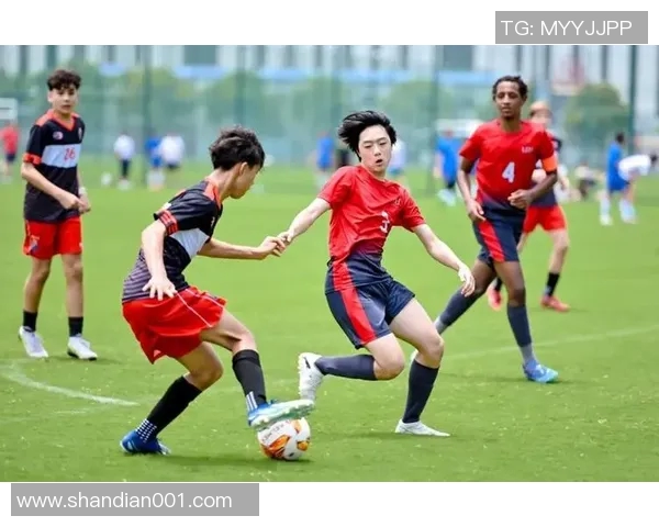 藏族足球女球星的崛起与挑战 揭示她们在绿茵场上的坚韧与风采 藏族足球女球星的崛起与挑战 揭示她们在绿茵场上的坚韧与风采