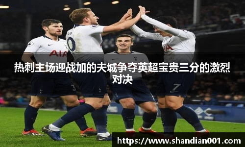 热刺主场迎战加的夫城争夺英超宝贵三分的激烈对决